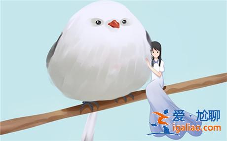 你會(huì)和單親家庭的孩子戀愛嗎
