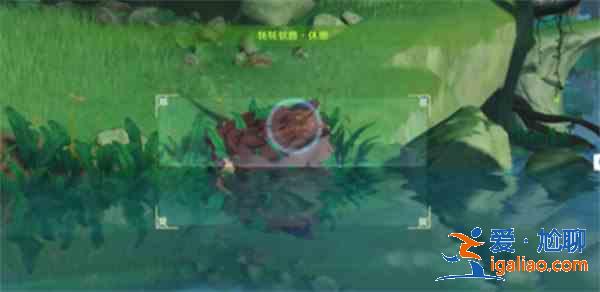 原神雕琢童心掠影第三關怎么拍？琢童心掠影第三關動物行為拍攝攻略？