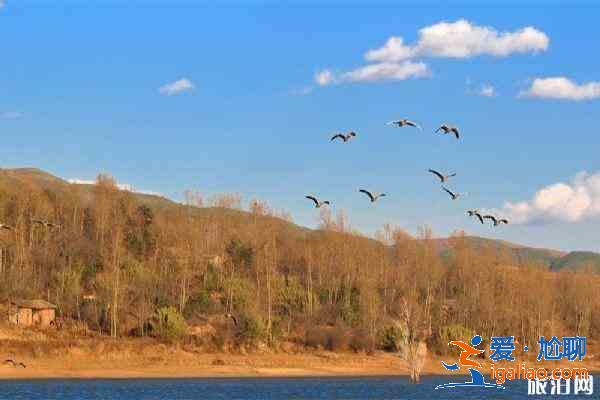 云南曲靖會澤縣有哪些好玩的地方? 云南曲靖會澤縣有哪些好玩的地方?