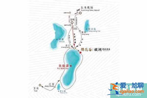 玉溪賞花地有哪些 賞花地推薦？