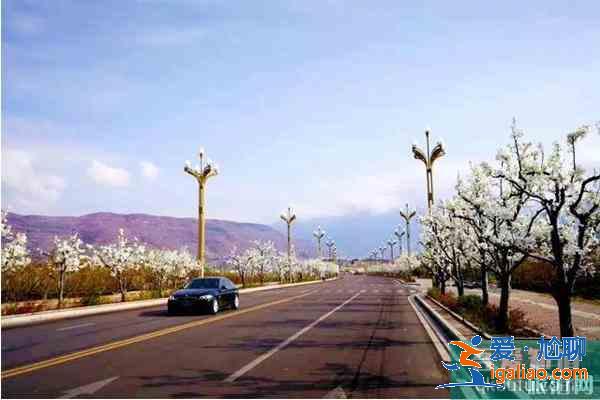 四川觀賞梨花的地方 梨花節推薦地？