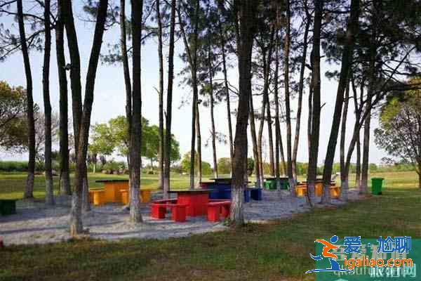 南京適合晚上露營的地方 南京鄉村露營地推薦? 南京適合晚上露營的地方 南京鄉村露營地推薦?