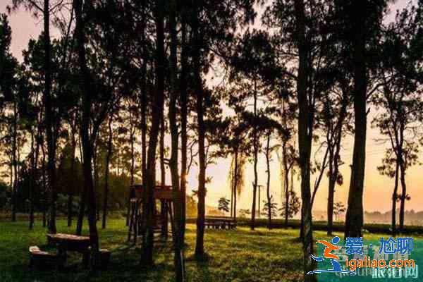 南京適合晚上露營的地方 南京鄉村露營地推薦? 南京適合晚上露營的地方 南京鄉村露營地推薦?