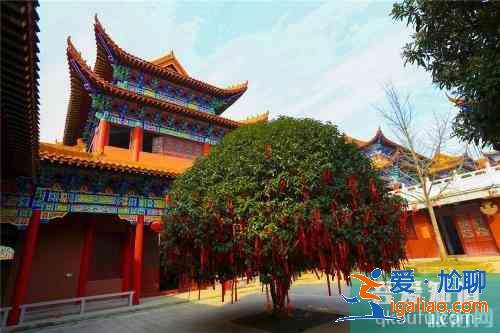 安徽巢湖十大景點(diǎn)推薦 巢湖景點(diǎn)有哪些？