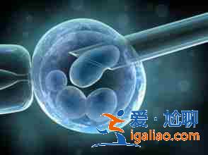 廈門代生孩子包成功,院長首薦？