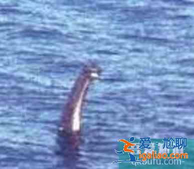 最恐怖的十大水怪排行榜？