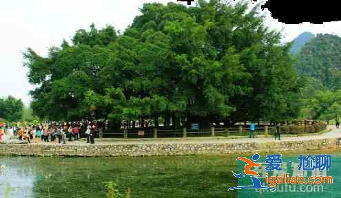 陽(yáng)朔旅游必去十大景點(diǎn)? 陽(yáng)朔旅游必去十大景點(diǎn)?