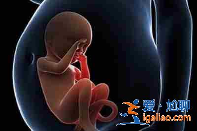 南京試管嬰兒捐卵,費用最便宜的著名助孕公司? 南京試管嬰兒捐卵,費用最便宜的著名助孕公司?