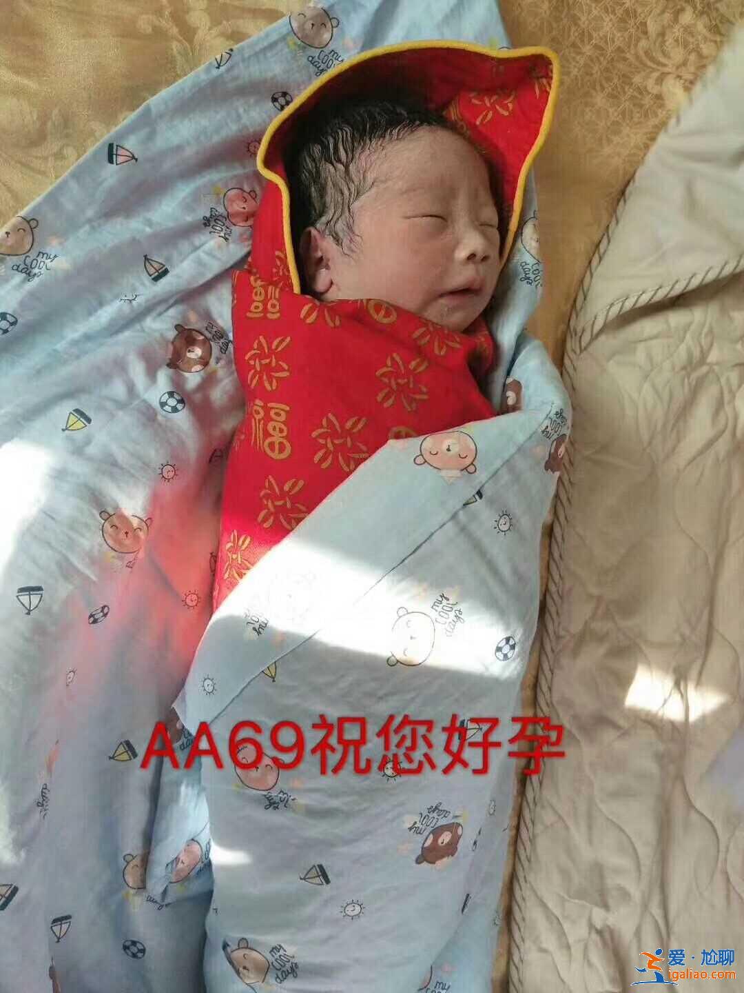 代媽年齡移植影響-是不是真的值得信賴？