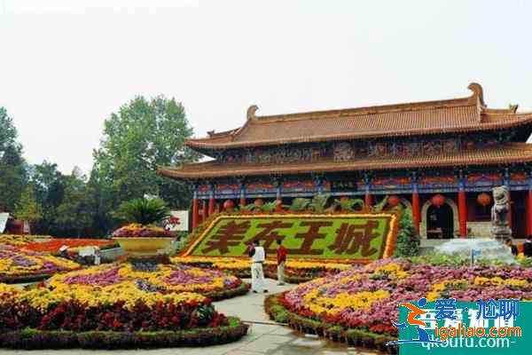 2022受疫情影響洛陽多個公園1月6日起臨時閉園? 2022受疫情影響洛陽多個公園1月6日起臨時閉園?