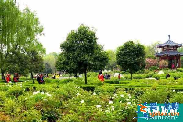 2022受疫情影響洛陽多個公園1月6日起臨時閉園? 2022受疫情影響洛陽多個公園1月6日起臨時閉園?