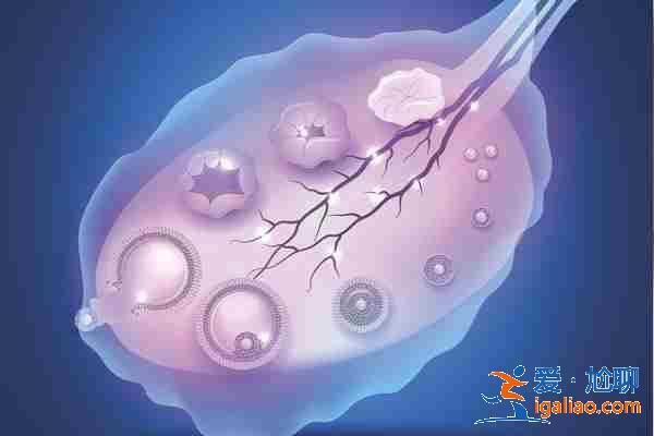 介紹給大家惠州代生孩子【嚴格挑選】？