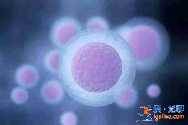 成都代生機構,助孕潤滑液preseed作用? 成都代生機構,助孕潤滑液preseed作用?