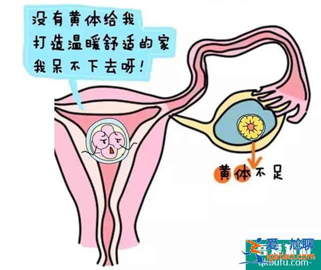 做試管嬰兒前女性多吃哪些日常食物？？