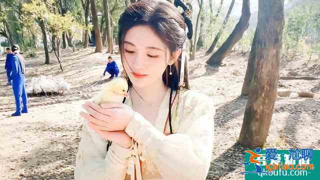 《如意芳霏》劇照曝光！回顧蕓汐傳中古裝女神，鞠婧祎確實神顏？