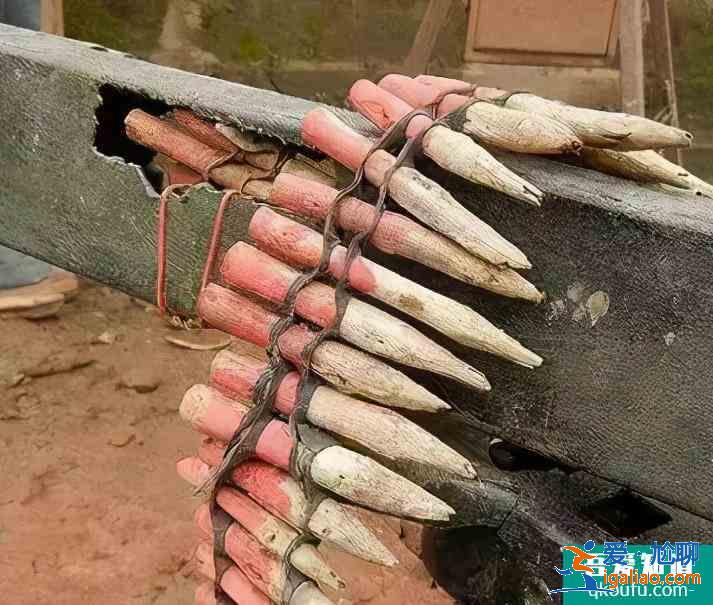 尼日利亞看電影攻略指南 價(jià)格多少錢? 尼日利亞看電影攻略指南 價(jià)格多少錢?