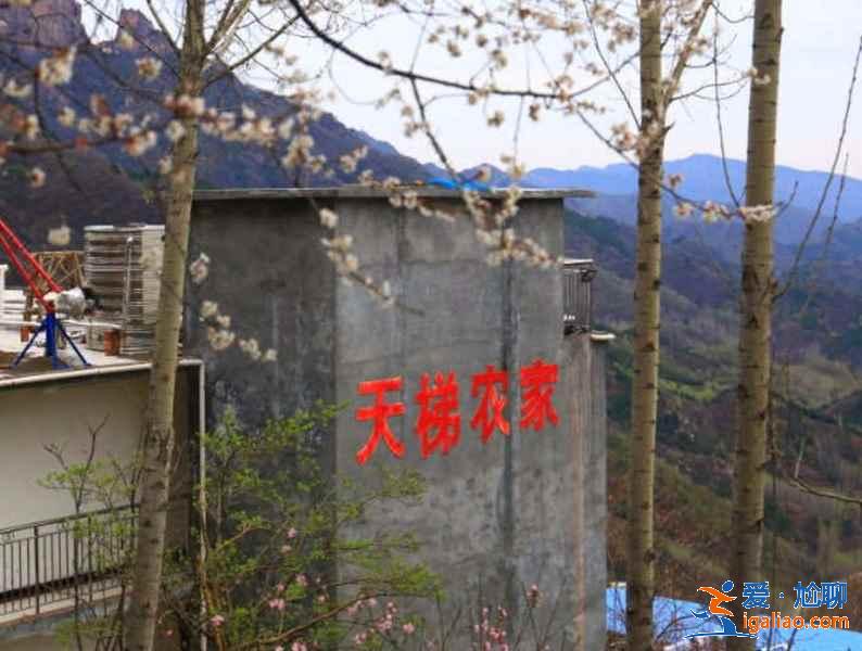 新鄉輝縣旅游住哪里好，輝縣民宿推薦，輝縣市住宿攻略？