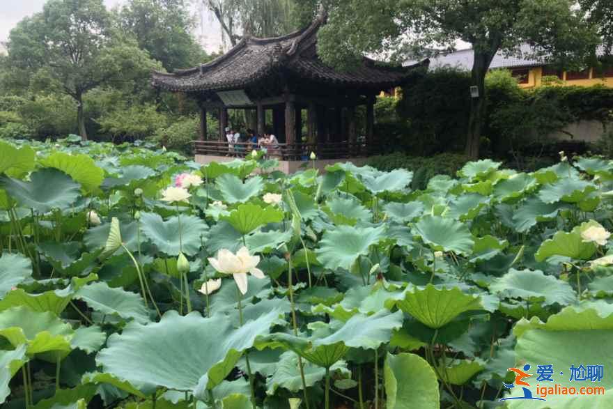 【紹興旅游】紹興免費公園大全（附：游覽線路、交通指南）？