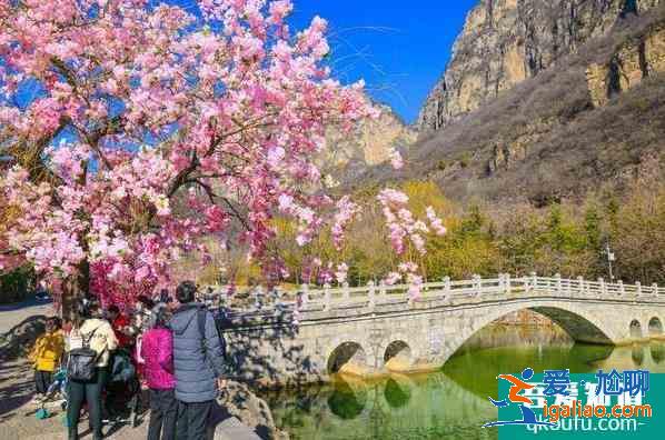 2021云臺山景區優惠免費門票活動？