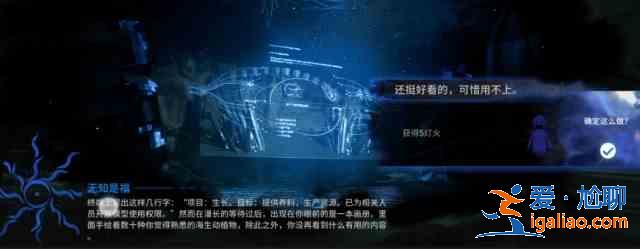 明日方舟無知是福選什么？水月肉鴿無知是福攻略一覽？