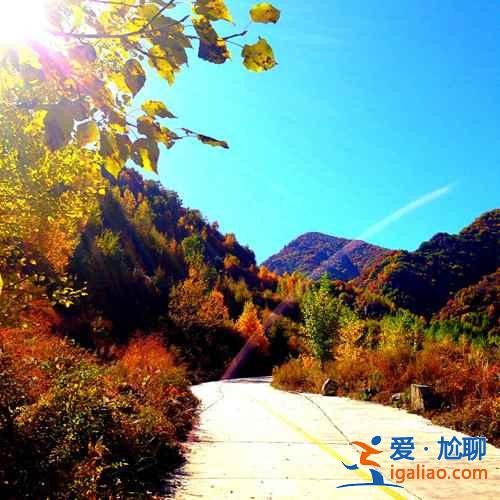 【京郊游】京郊游好去處，京郊游推薦TOP10？