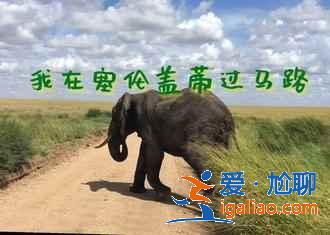 【肯尼亞旅游注意事項】肯尼亞旅游需注意什么? 【肯尼亞旅游注意事項】肯尼亞旅游需注意什么?