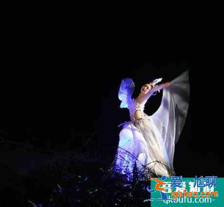 黃鶴樓夜游櫻花版對(duì)全國醫(yī)護(hù)人員免費(fèi)？