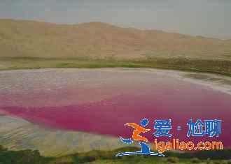 額濟納旗有什么好玩的地方,額濟納旗必去景點? 額濟納旗有什么好玩的地方,額濟納旗必去景點?