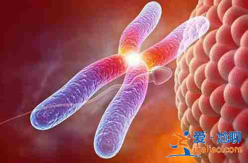 南京代懷生寶寶_aa69助孕中心為您圓夢(mèng)助孕？