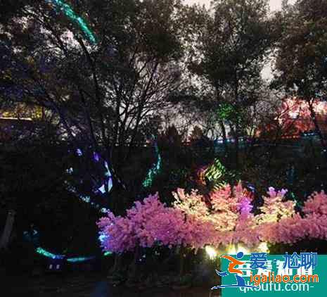 黃鶴樓夜游櫻花版對(duì)全國醫(yī)護(hù)人員免費(fèi)？