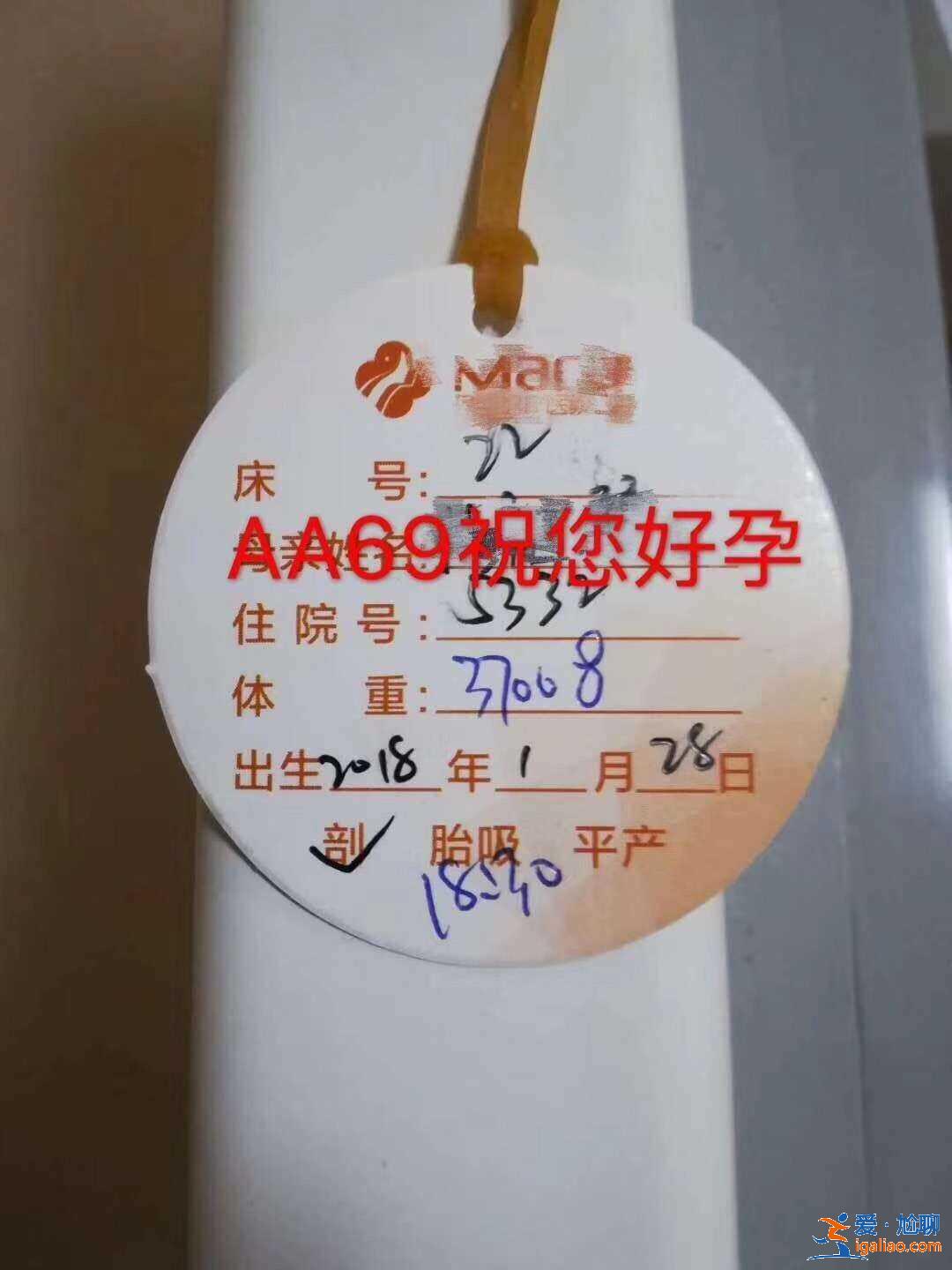想找人代生小孩的女人,行業領跑？