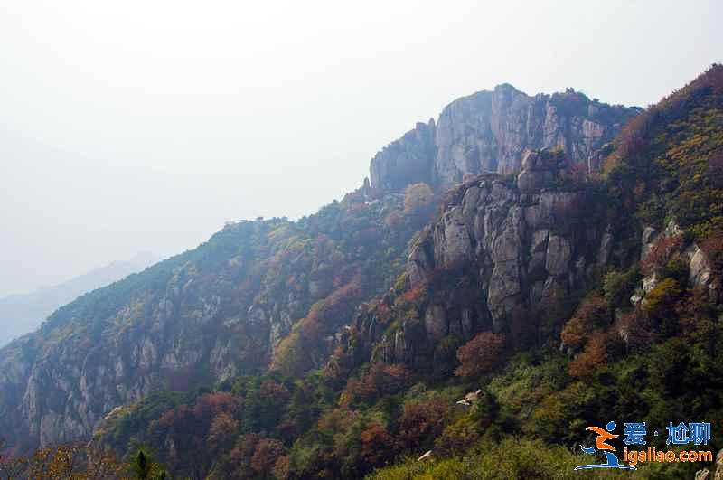 去泰山旅游住哪好，泰山山頂住宿多少錢？