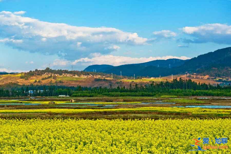 幾月去騰沖旅游最好，騰沖最佳旅游時間？