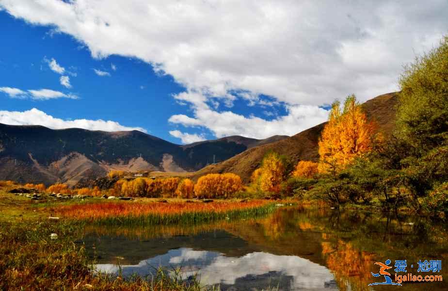 新都橋攝影指南（最佳拍攝地點(diǎn)、時(shí)間）？