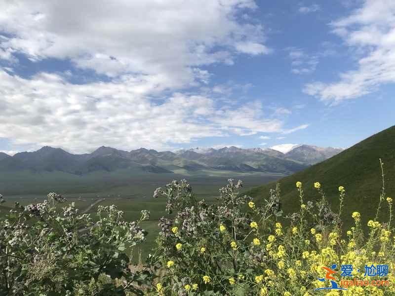 夏天去哪個草原好？馳騁中國美麗的六大草原？