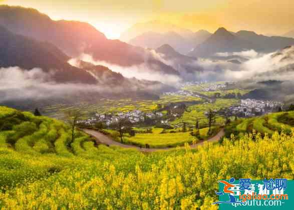江嶺油菜花幾月開 2021江嶺賞油菜花活動詳情？