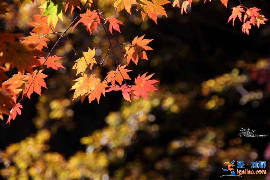 7座城市附近易爬山峰,城市里人的福利? 7座城市附近易爬山峰,城市里人的福利?