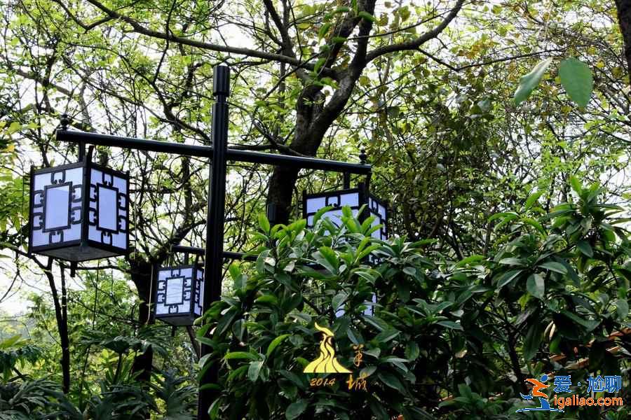 7座城市附近易爬山峰,城市里人的福利? 7座城市附近易爬山峰,城市里人的福利?