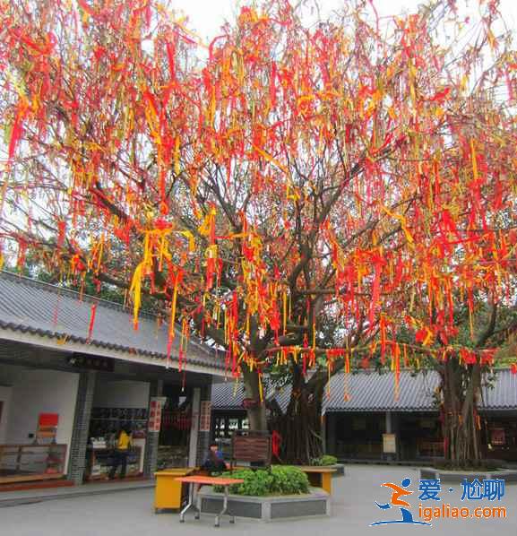 7座城市附近易爬山峰,城市里人的福利? 7座城市附近易爬山峰,城市里人的福利?