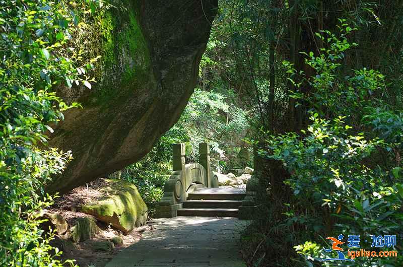 7座城市附近易爬山峰,城市里人的福利? 7座城市附近易爬山峰,城市里人的福利?