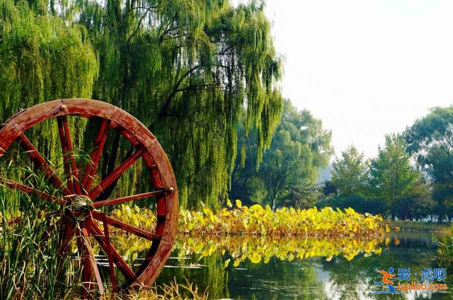 玉淵潭公園從哪個門進,玉淵潭公園有幾個門? 玉淵潭公園從哪個門進,玉淵潭公園有幾個門?