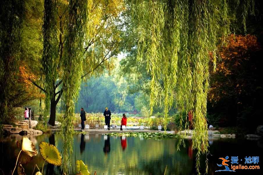 玉淵潭公園從哪個門進,玉淵潭公園有幾個門? 玉淵潭公園從哪個門進,玉淵潭公園有幾個門?