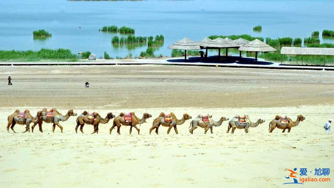 沙湖和沙坡頭有什么區別,沙湖和沙坡頭哪個好? 沙湖和沙坡頭有什么區別,沙湖和沙坡頭哪個好?