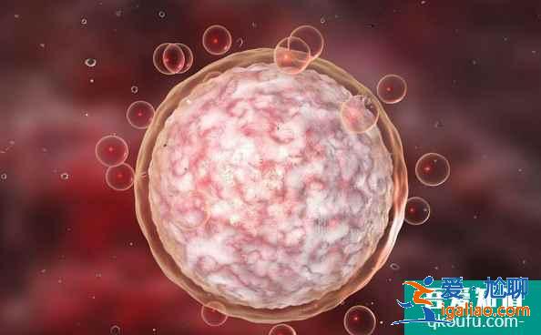 試管嬰兒是用老公的精子嗎？