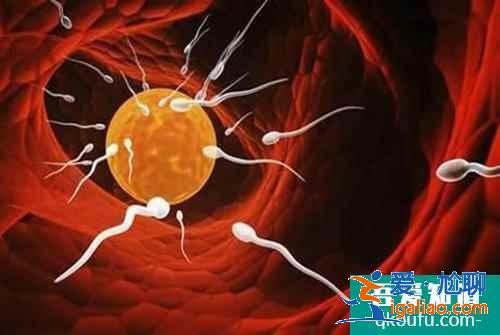 排卵期有幾天？？