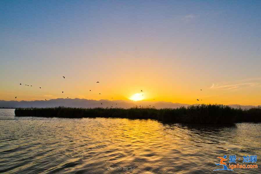沙湖和沙坡頭有什么區別,沙湖和沙坡頭哪個好? 沙湖和沙坡頭有什么區別,沙湖和沙坡頭哪個好?