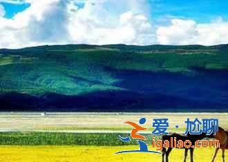 去拉市海騎馬多少錢,拉市海馬場如何選? 去拉市海騎馬多少錢,拉市海馬場如何選?