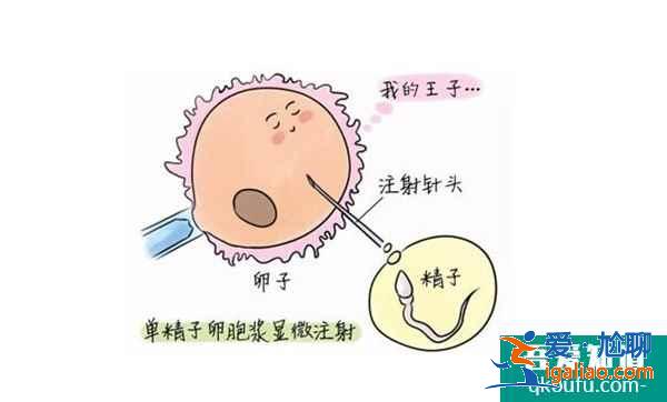 身體正常想要男孩能做試管嗎?? 身體正常想要男孩能做試管嗎??