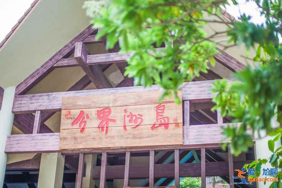西島和分界洲島哪個好？