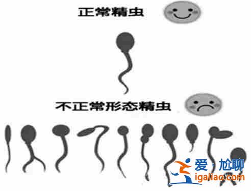 長春代懷代生孕，懷孕第十個月知識大全？